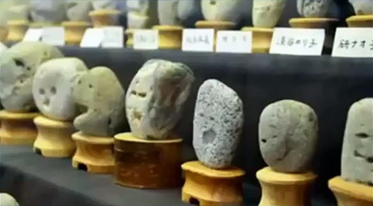 【全国珍博物館】岐阜つちのこ館、秩父珍石館、珍宝館に行ってみ HD!
