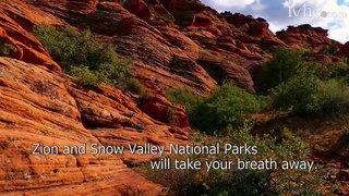 Zion and Snow Canyon parks, Petroglyphs and more in St George Home Exchange