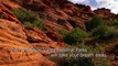 Zion and Snow Canyon parks, Petroglyphs and more in St George Home Exchange