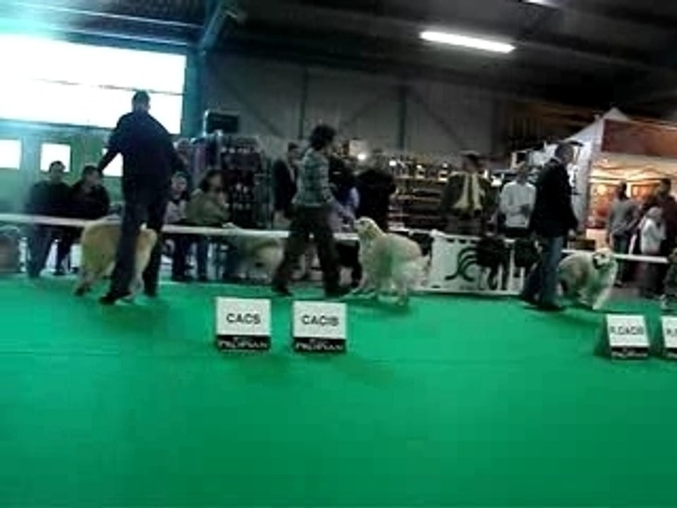 Aldo en finale