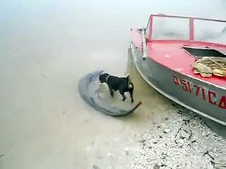 Изображение 025.avi-15775672_7_x264