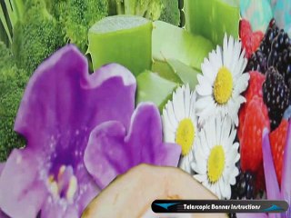 Telescopic Banner Stand