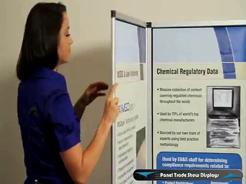 Panel Display