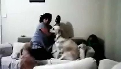 KÖPEKLERİN YAPTIĞINA BAK