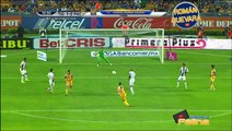 Tigres vs Pachuca 2-1 Jornada 13 Apertura 2015 Liga Mx HD