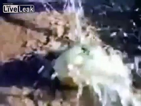 Нашли На Берегу Саудовской Аравии