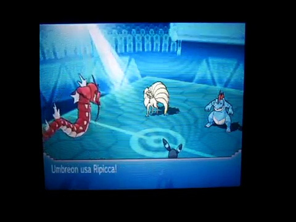 Pokemon Omega Ruby # Lotte vs 17TheTube