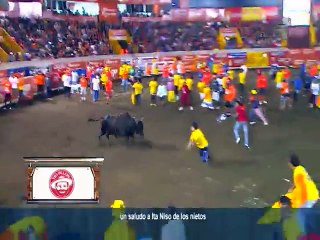 toros-levantines-271214