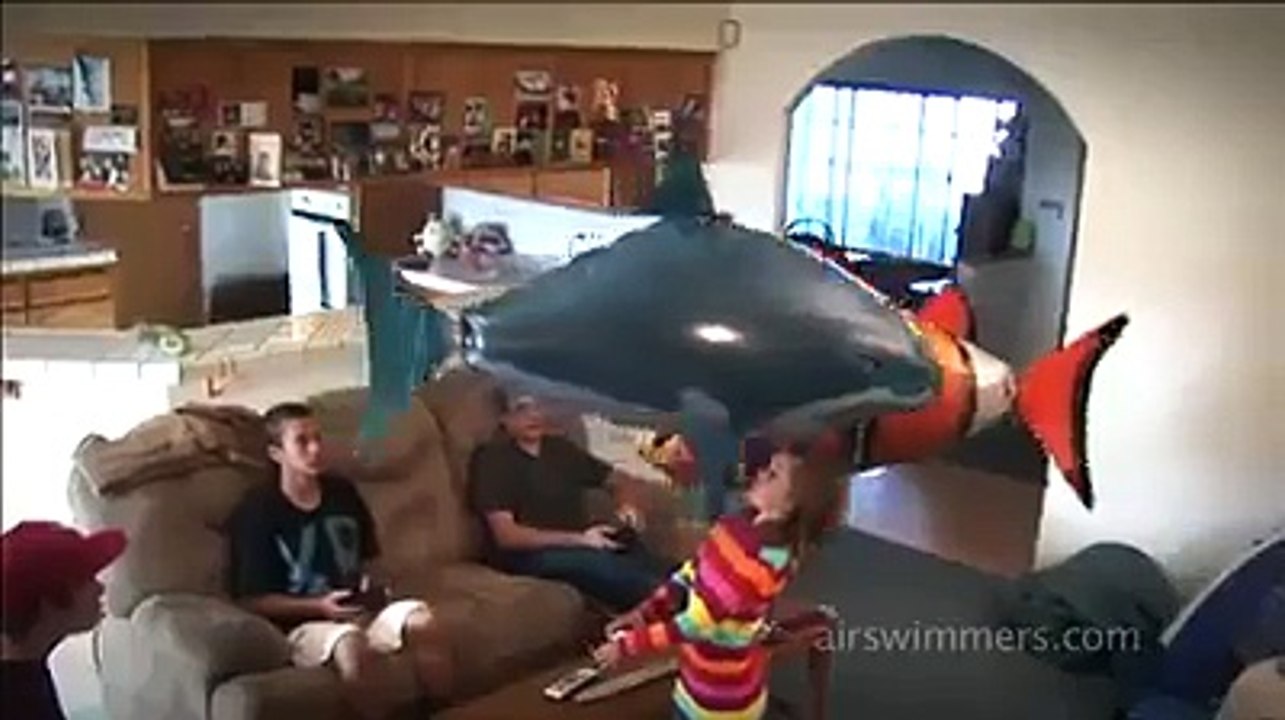 Flying Fish-Must Watch