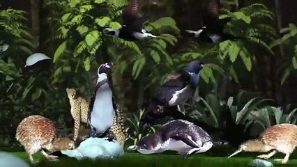 Estas son las especies en peligro de extinción