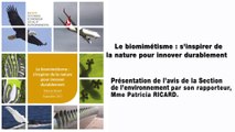 Le Biomimétisme