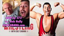 Bob Holly - Art of Wrestling Ep 273 w/ Colt Cabana