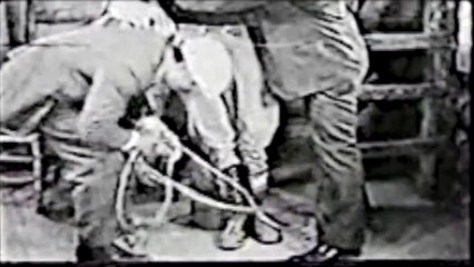 The Lost Special Chapter 11 Flaming Forest -