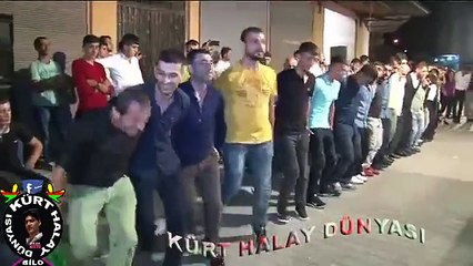 NE GÜZEL Bİ HALAY İNSANIN İÇİNİ ISITIYOR KIPIR KIPIR