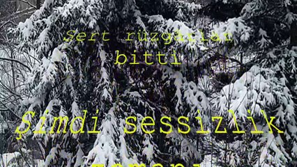 ŞİİR: HOŞ GELDİN (BOJİDAR ÇİPOF)