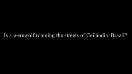 WEREWOLF  Spotted Walking the Streets of Ceilândia Brazil
