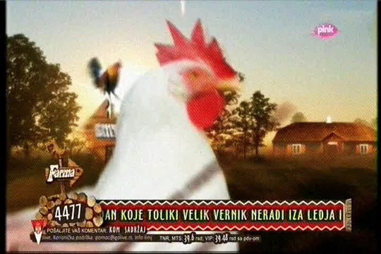 Pregled dana /Stanija #Farma 6 /18.11.2015.