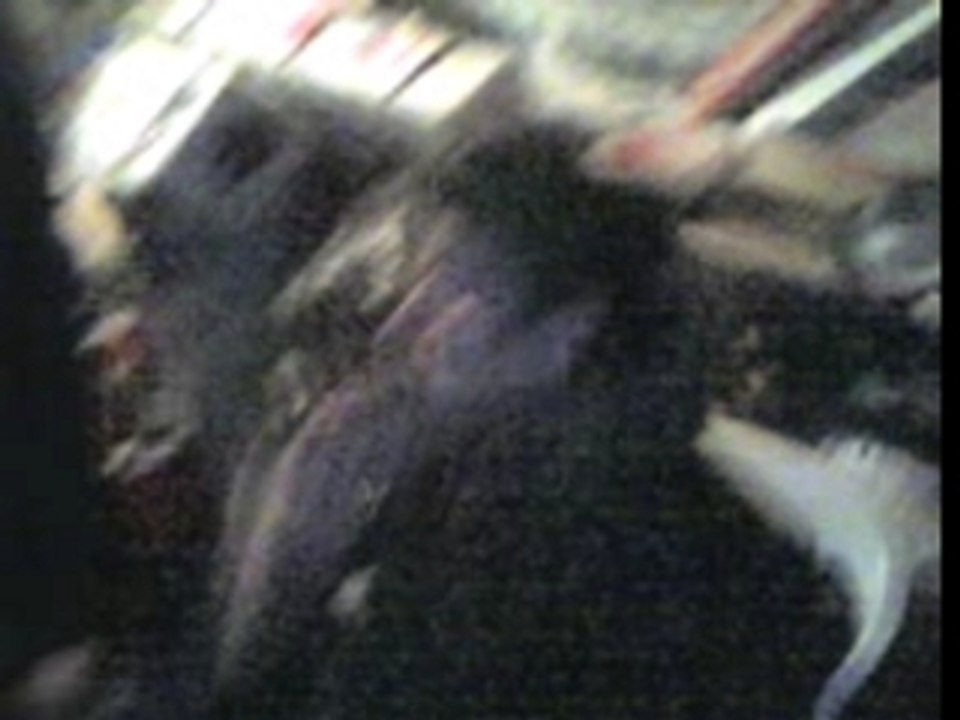 Jeu de claque Freddy et Anthony