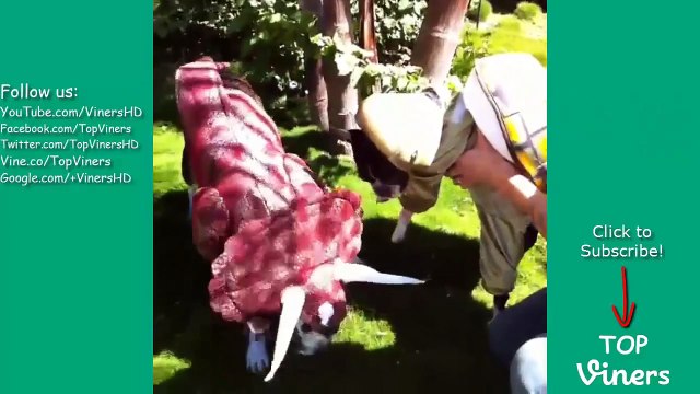 Curtis Lepore Vine Compilation w/ Titles - All Curtis Lepore Vines (398 Vines) - Top Viner