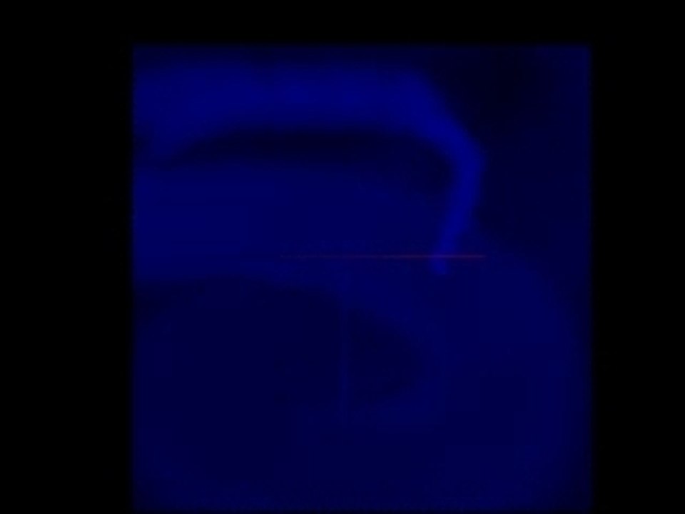 Blue Milk (2D fluid simulation)