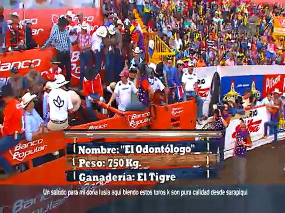 toros-monta-281214