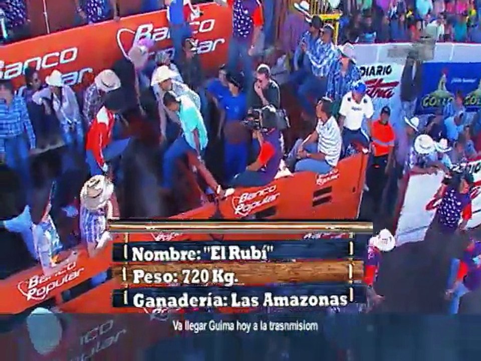 toros-rubi-010115
