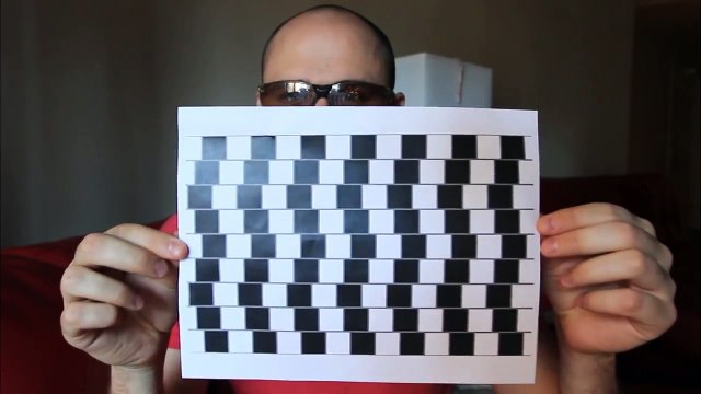 Can you TRUST your Eyes?! - Very Cool Optical illusion