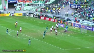 Gol de Rafael Marques, Palmeiras 2 x 1 Fluminense Brasileirão 14/06/2015