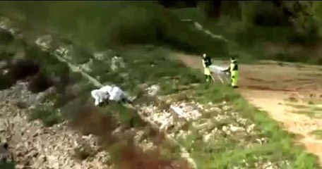 Fake ou réalité ? une mystérieuse vidéo d’un homme-poisson prouverait l’existence des sirènes ?