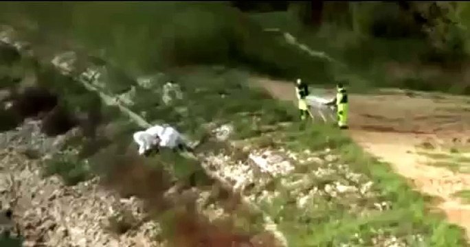 Fake ou réalité ? une mystérieuse vidéo d’un homme-poisson prouverait l’existence des sirènes ?