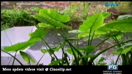 Someone Like You - 20 November 2015 Part 2/2