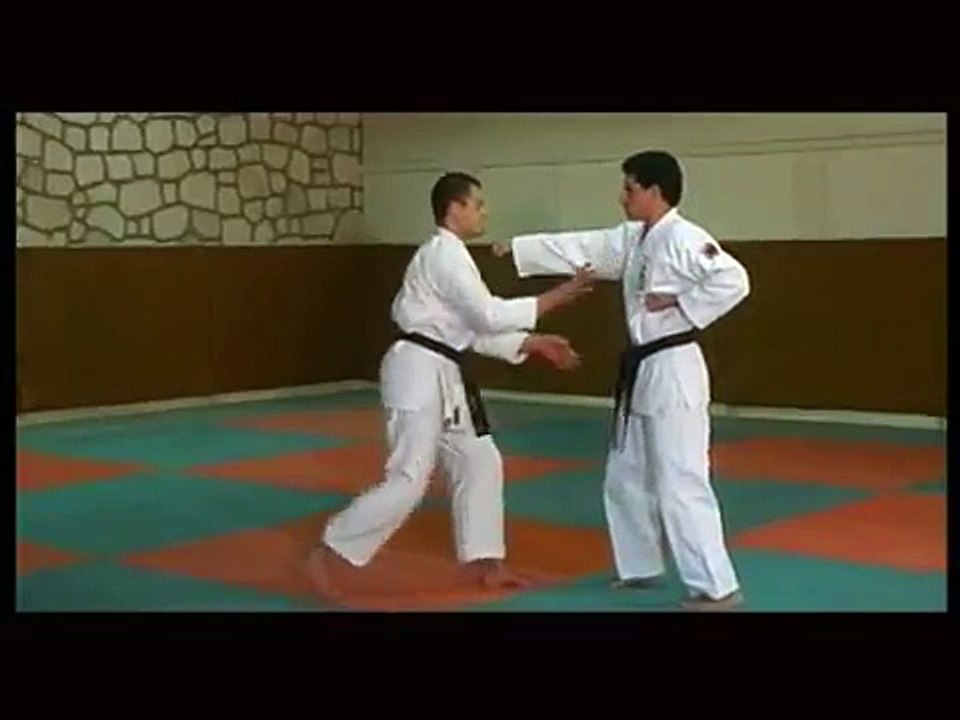 Técnicas de Uechi-ryu Karate
