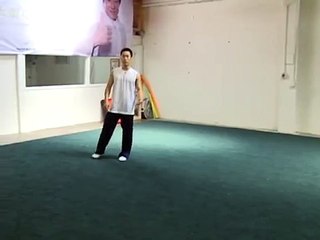 Tutorial del giro mariposa de Artes Marciales