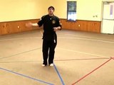 Técnicas de patadas de Tang Soo Do