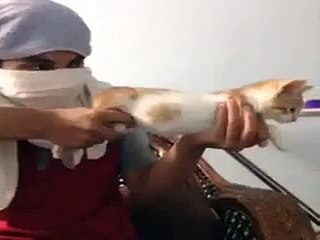 cat funny videos  _ Hilarious Cat Gun -klx3KXPjLiE