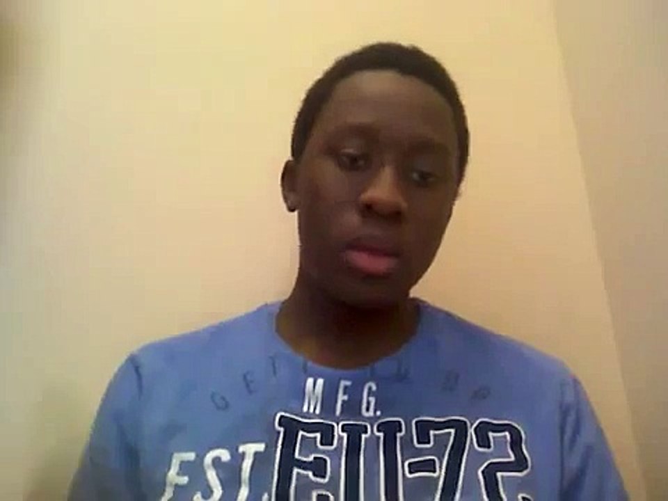 Mike Wallace signs with Miami Dolphins! Will the Dolphins be a playoff team in 2013?