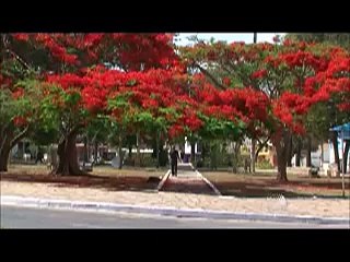 BLOGDOANDERSON | BATV: quinta-feira, 19 de novembro de 2015