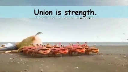 Union is Strength !