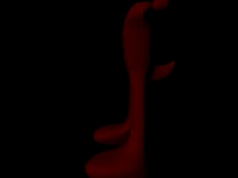 Animation Noval 1er essais