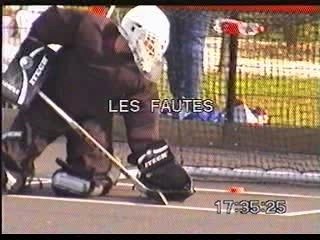 les loups du val d'europe