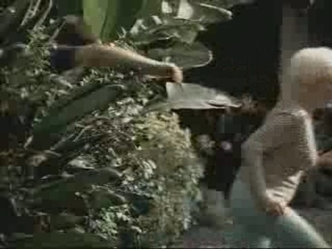 NBA - Nike Basketball - Kevin Garnett &