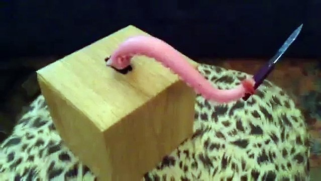 Il fabrique un robot tentacule armé d'un couteau... WTF??!