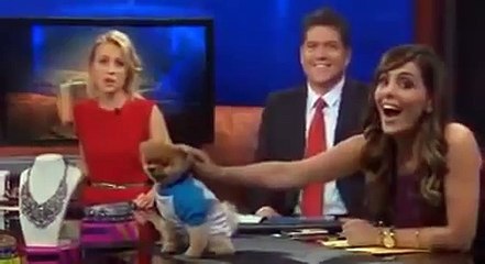 출장Call』【OlO √ 2178 √ 9505】인천 출장안마 출장마사지 인천