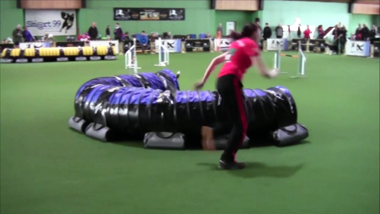 Agility German Classcics 2015 Team 'the Blackberries'