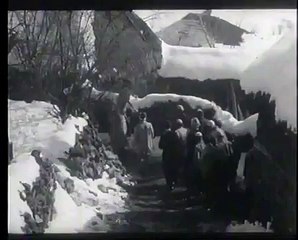 Dog defends sheep and kill 2 wolves