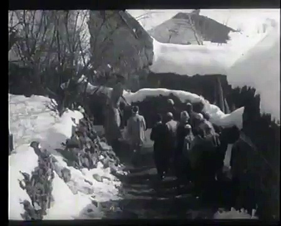 Dog defends sheep and kill 2 wolves