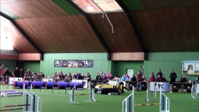 Agility German Classcics 2015 Kiwi Jumping + A-Lauf