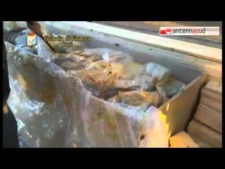 Tg Antenna Sud -  Porto, maxi sequestro di marijuana