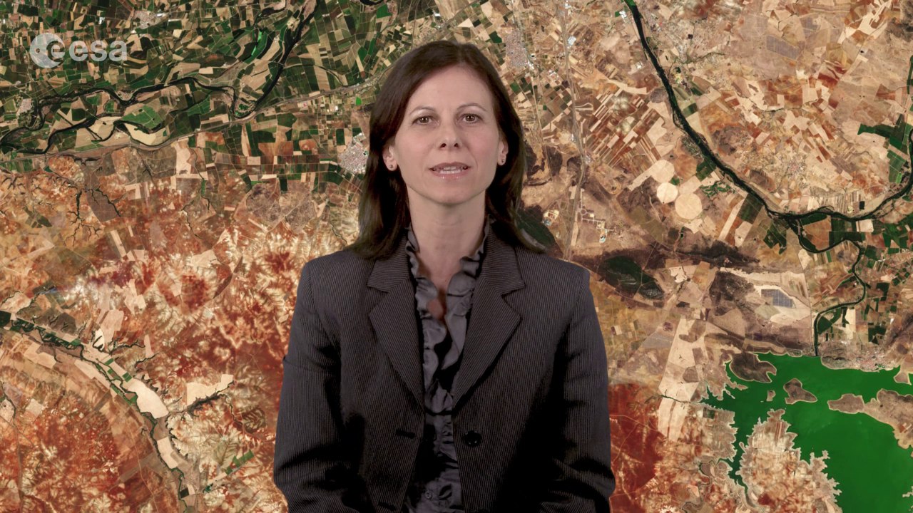 Earth from Space: Spanish mosaic