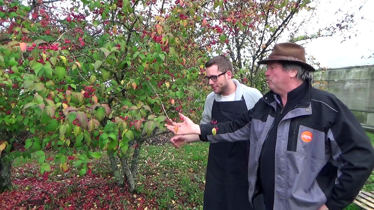 Les arbustes avec les Experts Jardins de France...